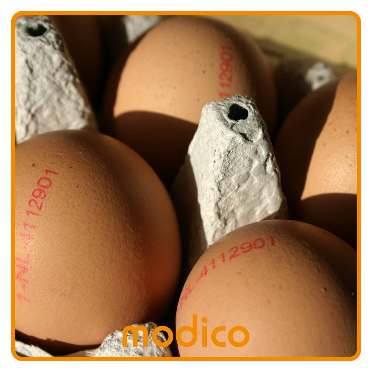 Egg stamp Σφραγίδα για αβγά - Image 3