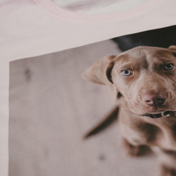 INKJET για ανοιχτόχρωμα υφάσματα - Image 2